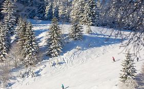 le bonheur est parfois cache dans l'inconnu II Le bonhomme